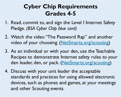 cyber chip grade 5